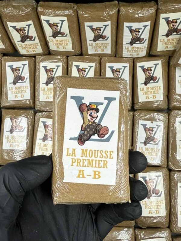 LA MOUSSE MARIO 2025