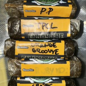 PRADO FARM HASH
