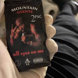 MOUNTAIN GIANTS Hash