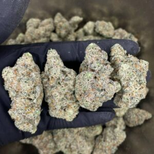 Cali Melon