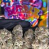 BUBBLE GUM GELATO